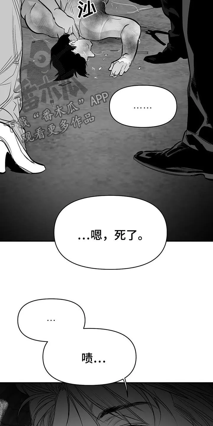 拳击手漫画全集免费阅读下拉式漫画,第183章：【第三季】每天死一个17图