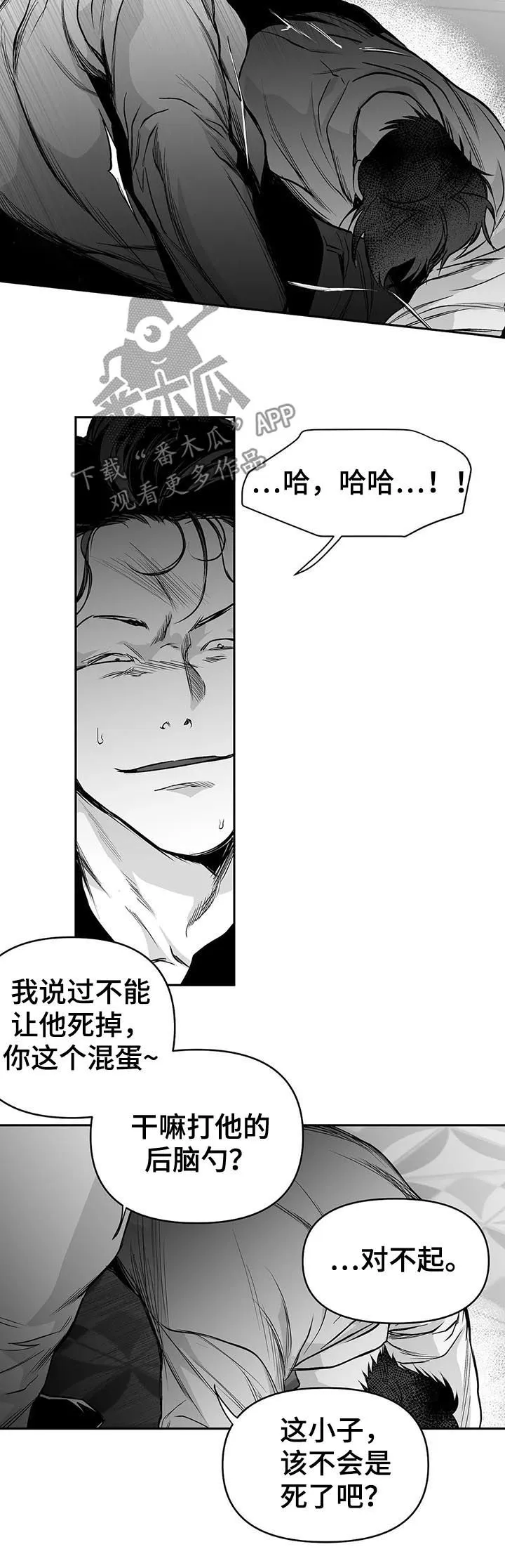 拳击手漫画图片漫画,第86章：有你的风范2图