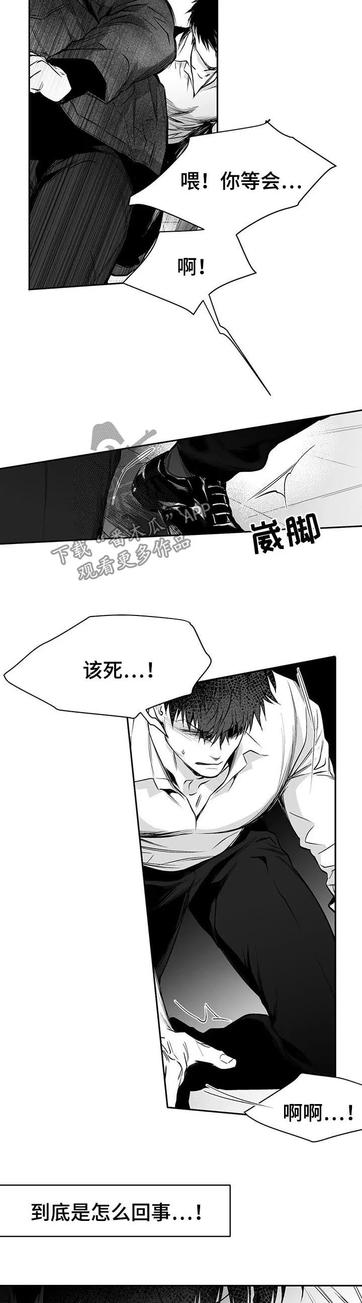 拳击手漫画免费阅读漫画,第84章：到底怎么回事14图