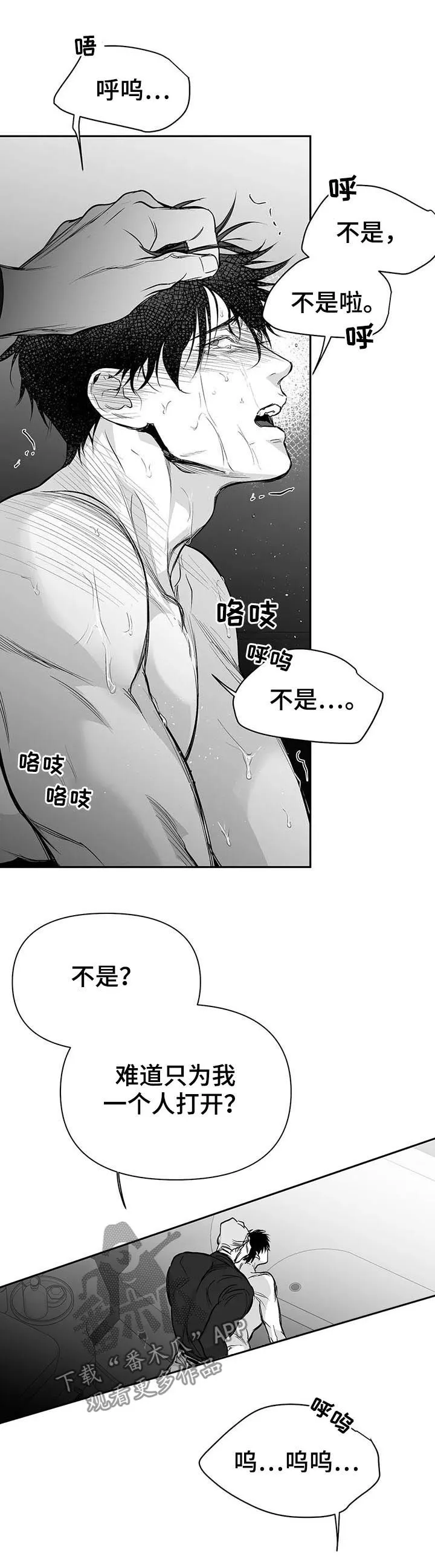 拳击手漫画漫画,第111章：【第二季】很贪心10图