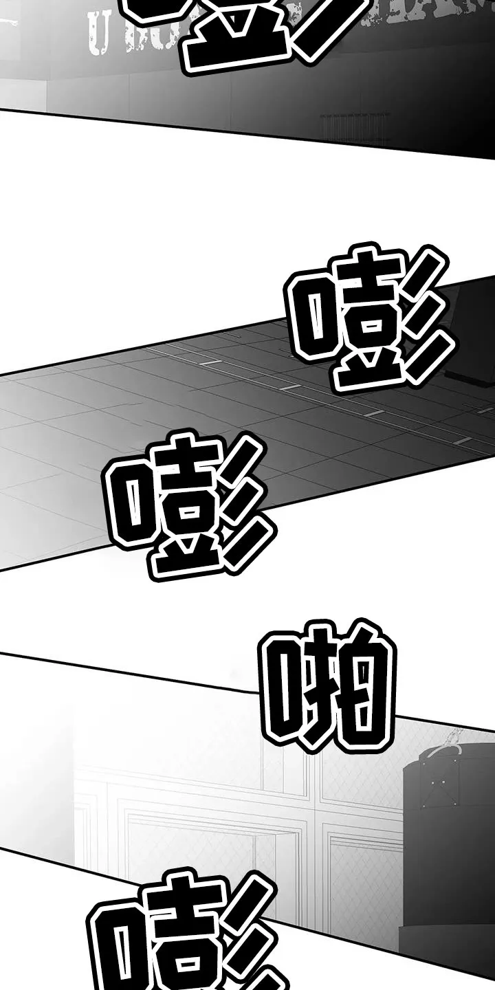 拳击手漫画免费阅读漫画,第214章：【第三季】那人很危险13图