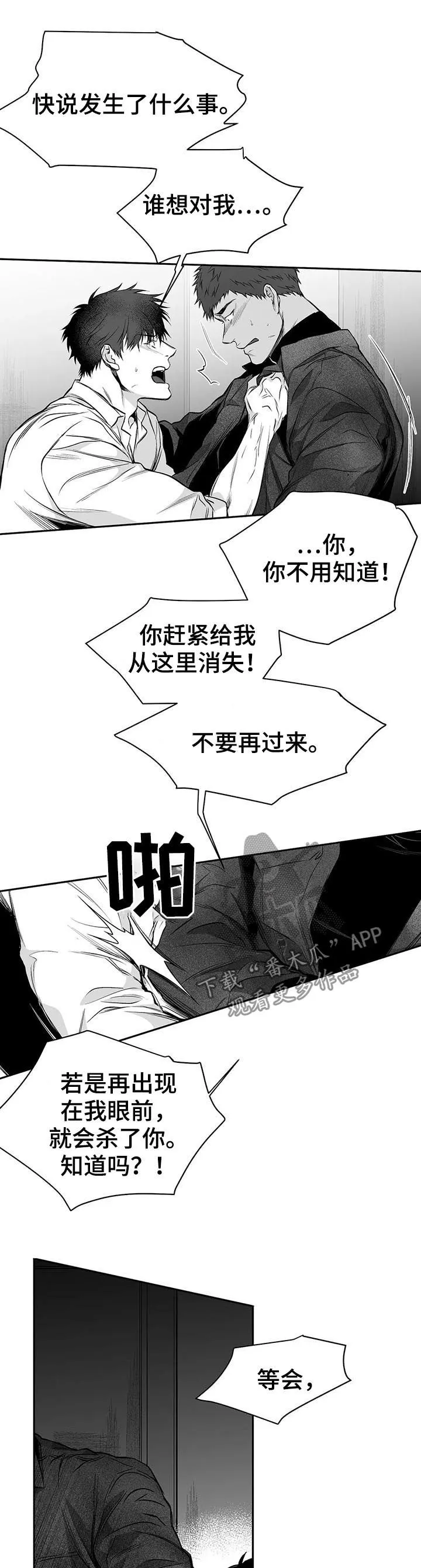 拳击手漫画免费阅读漫画,第84章：到底怎么回事13图