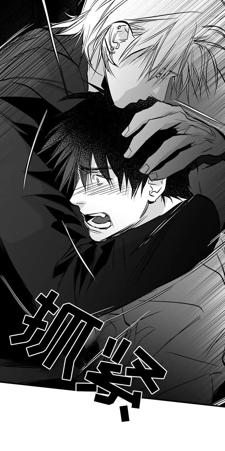 拳击手漫画吧漫画,第232章：【第三季】不要讨厌我15图