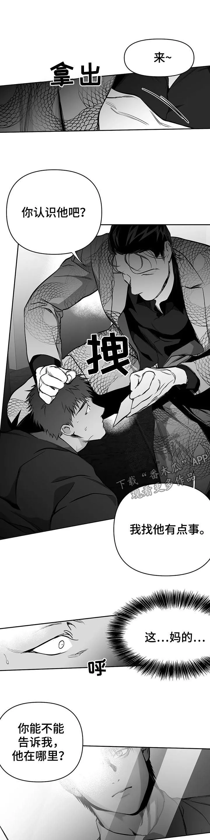 拳击手漫画漫画,第79章：找人12图