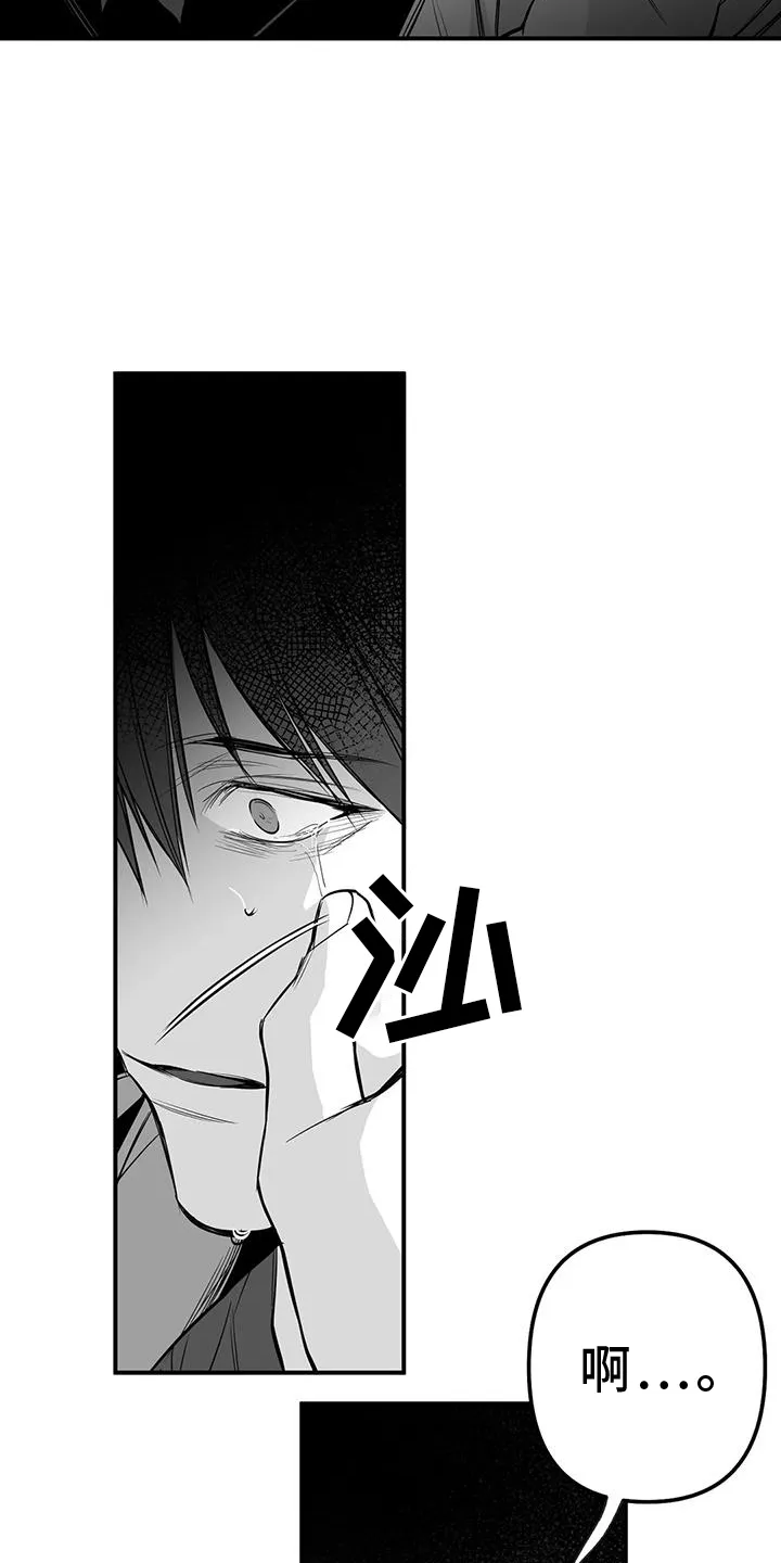 拳击手漫画吧漫画,第232章：【第三季】不要讨厌我3图