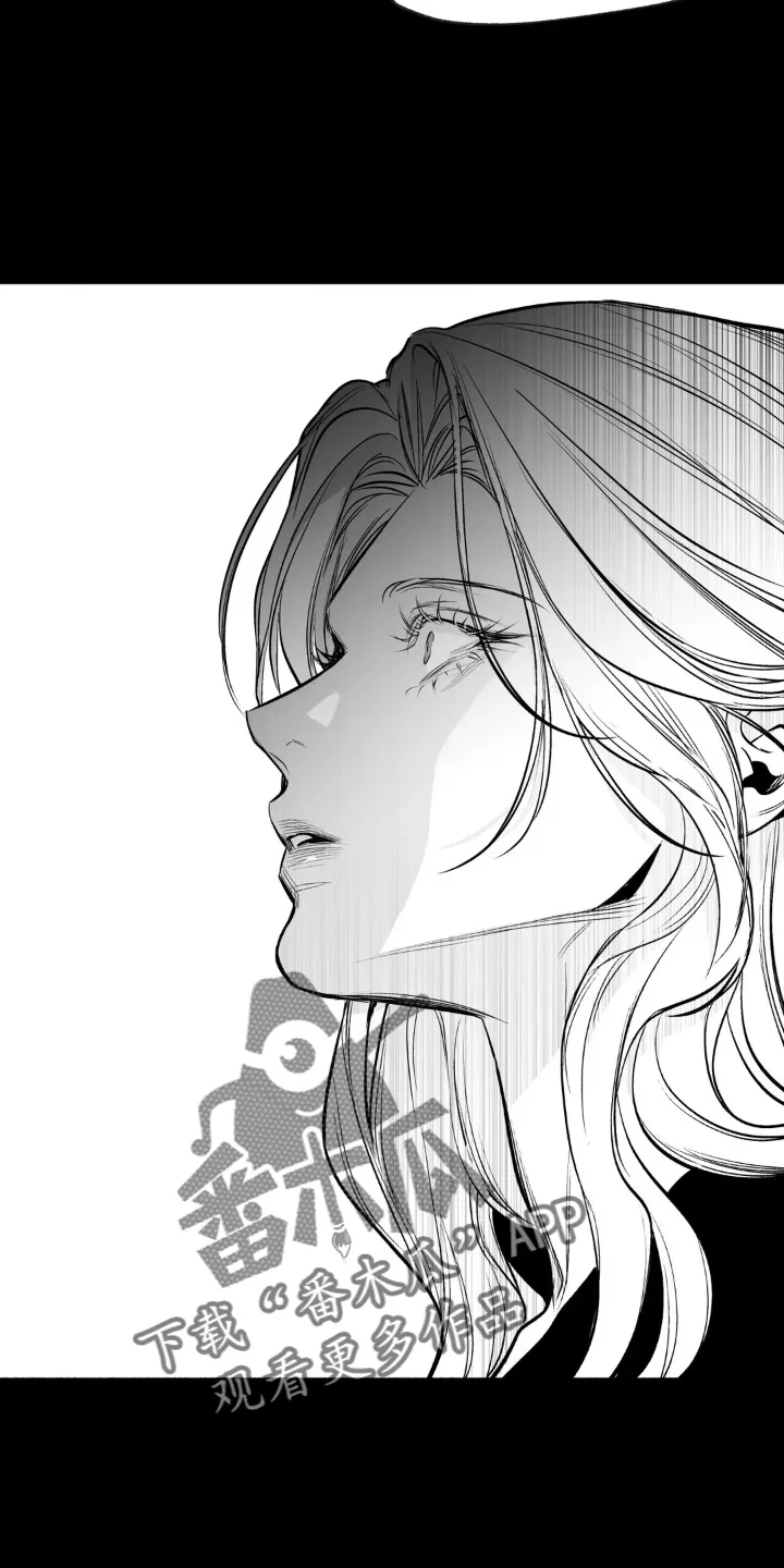 拳击手漫画漫画,第241章：【第三季】和解22图