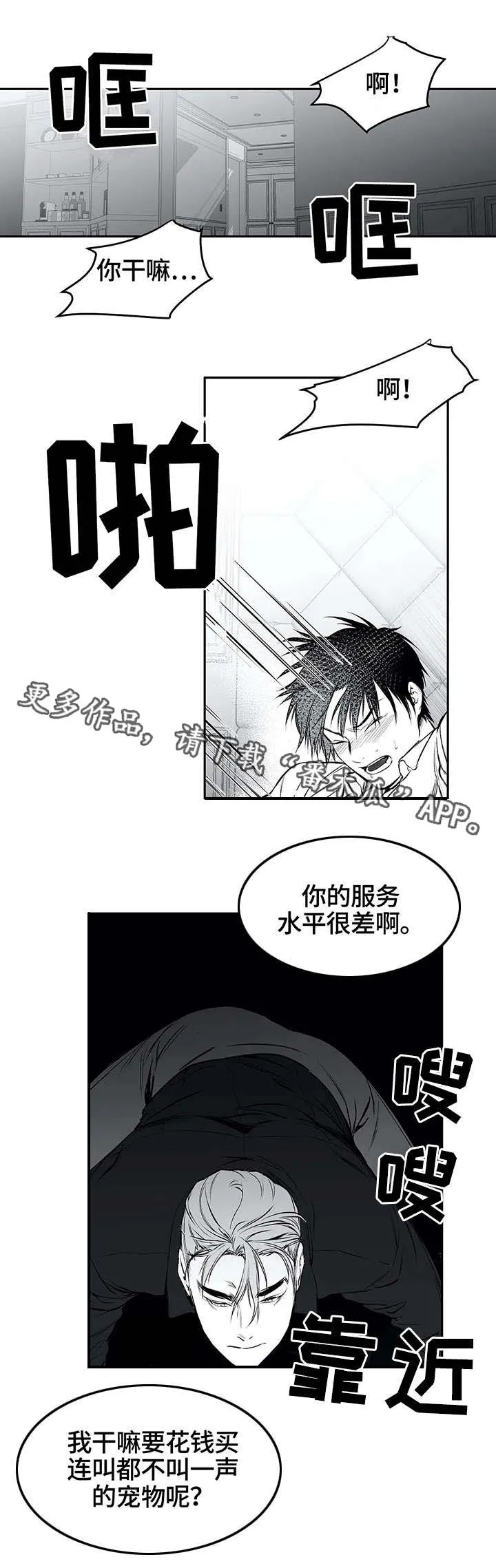 拳击手 漫画漫画,第26章：空白5图