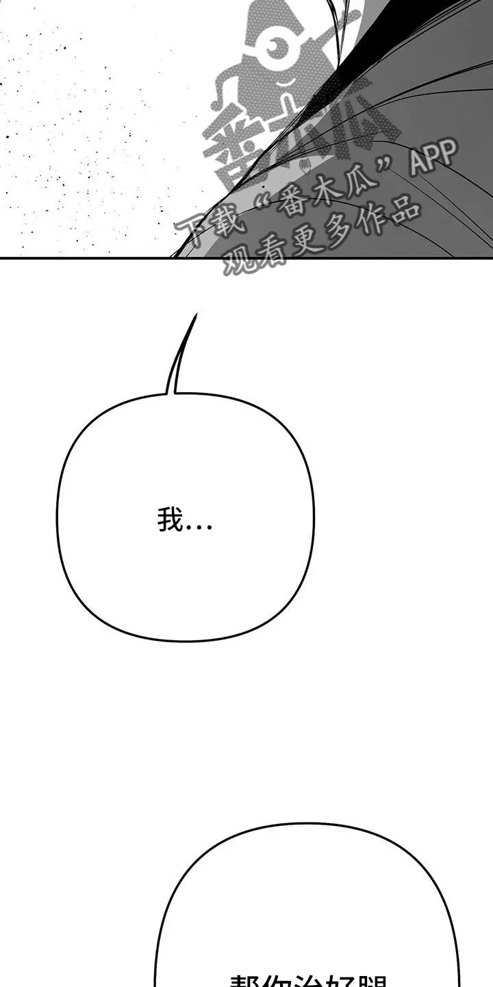 拳击手漫画图片漫画,第219章：【第三季】帮你治腿31图