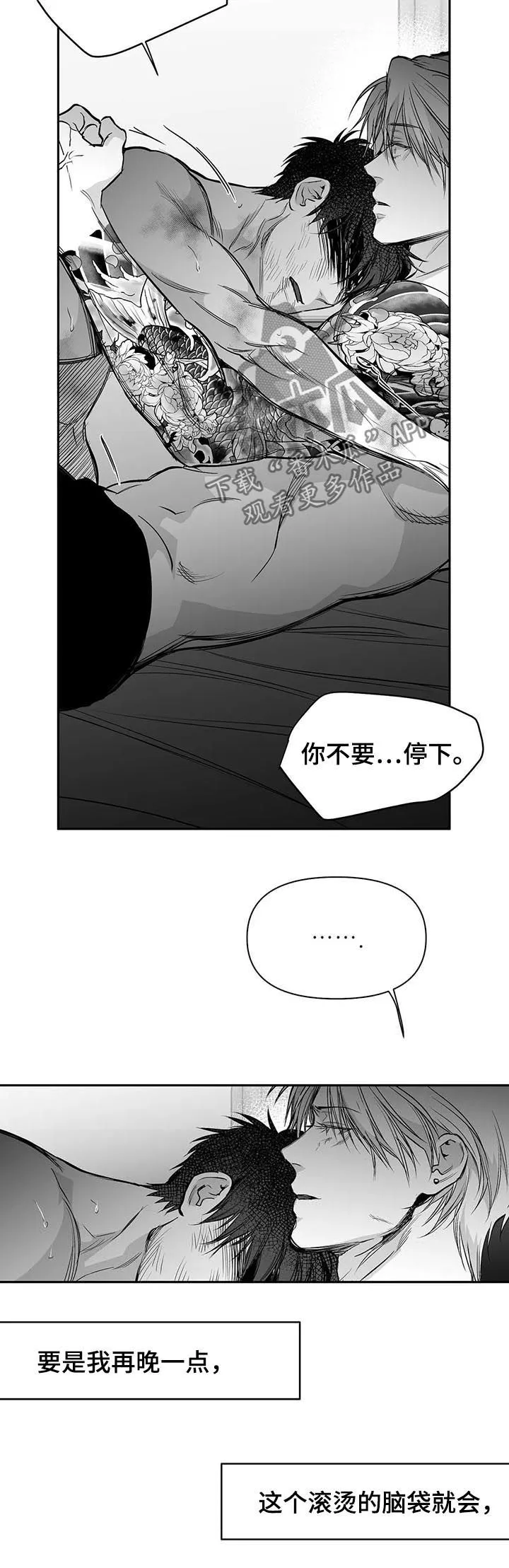 拳击手漫画免费版在线观看漫画,第121章：【第二季】到此为止吧14图