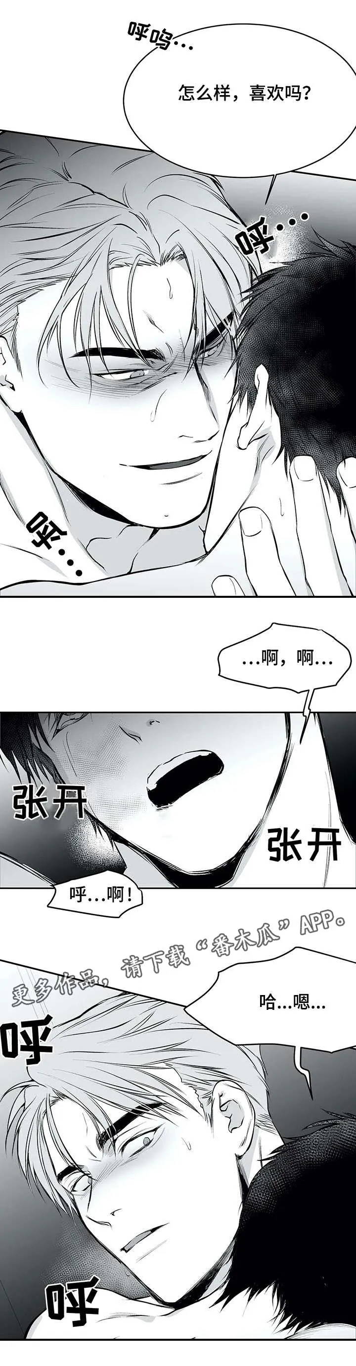 拳击手 漫画漫画,第26章：空白11图