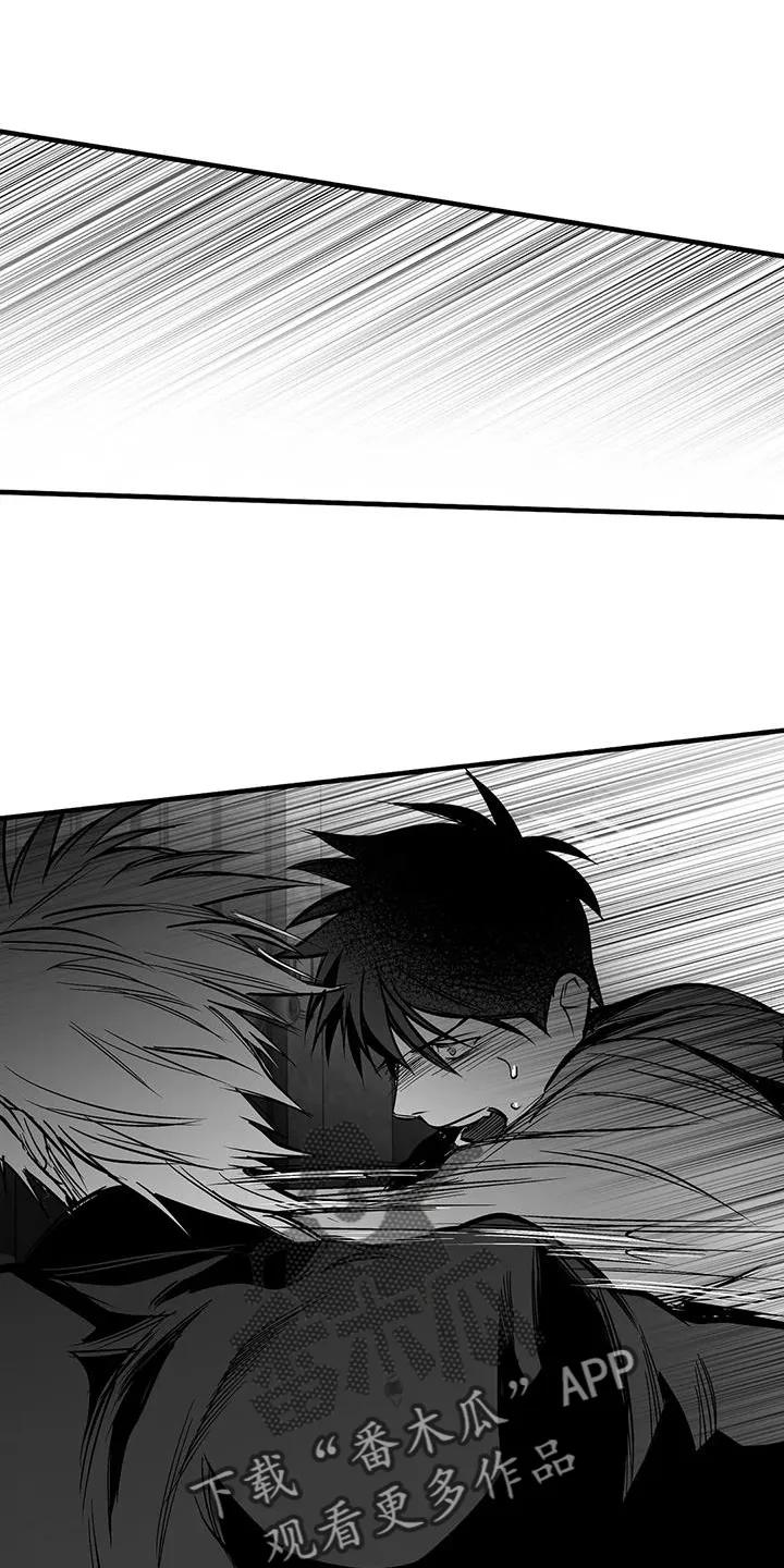 拳击手漫画吧漫画,第232章：【第三季】不要讨厌我28图