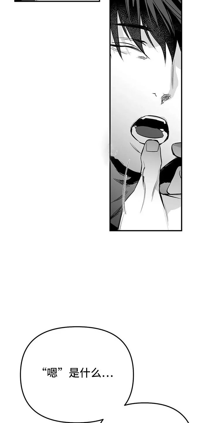 拳击手动漫漫画漫画,第199章：【第三季】怎么才能喜欢5图