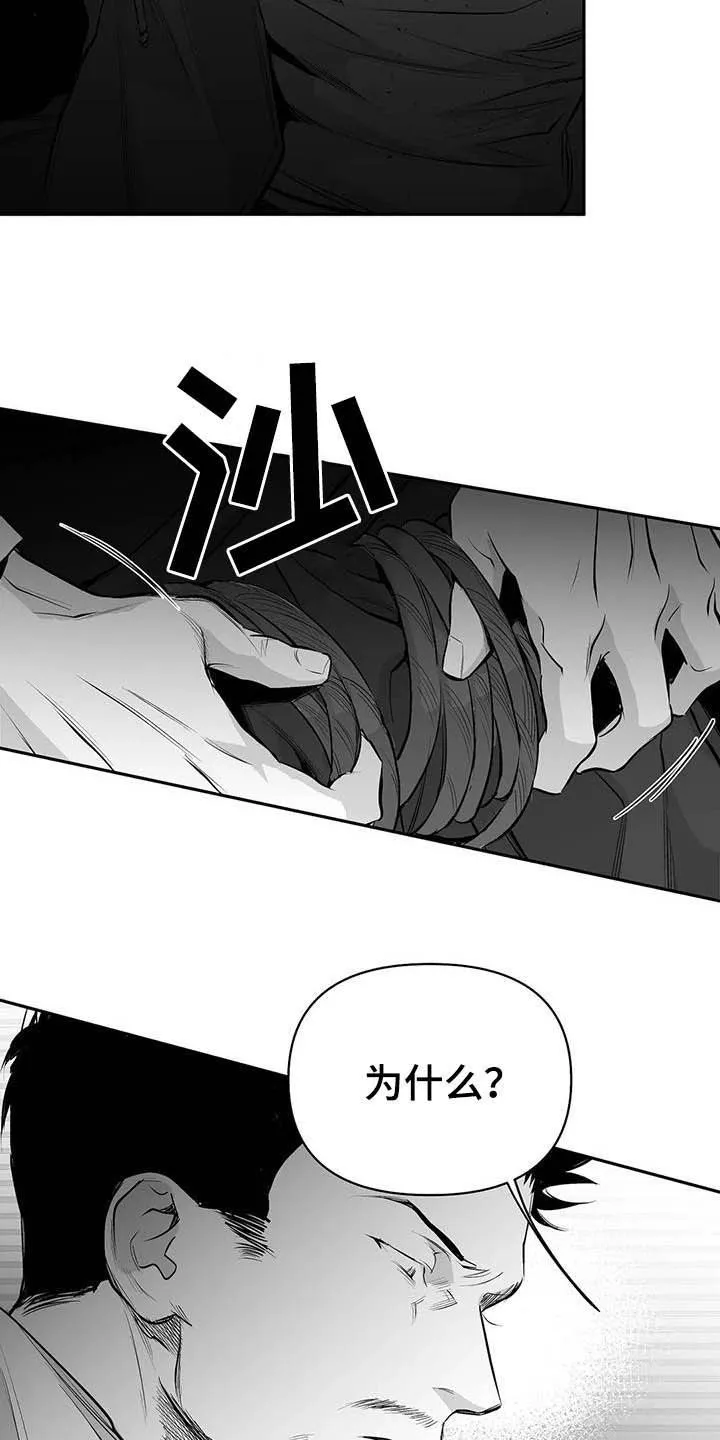 拳击手漫画全集免费阅读下拉式漫画,第148章：【第三季】我可以救你2图