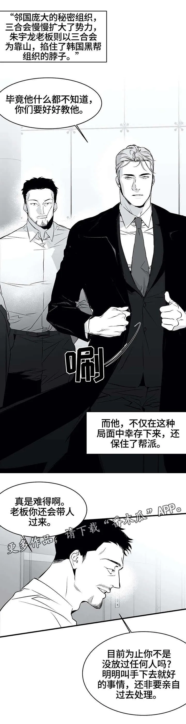拳击手漫画全集免费阅读下拉式漫画,第10章：黑帮1图