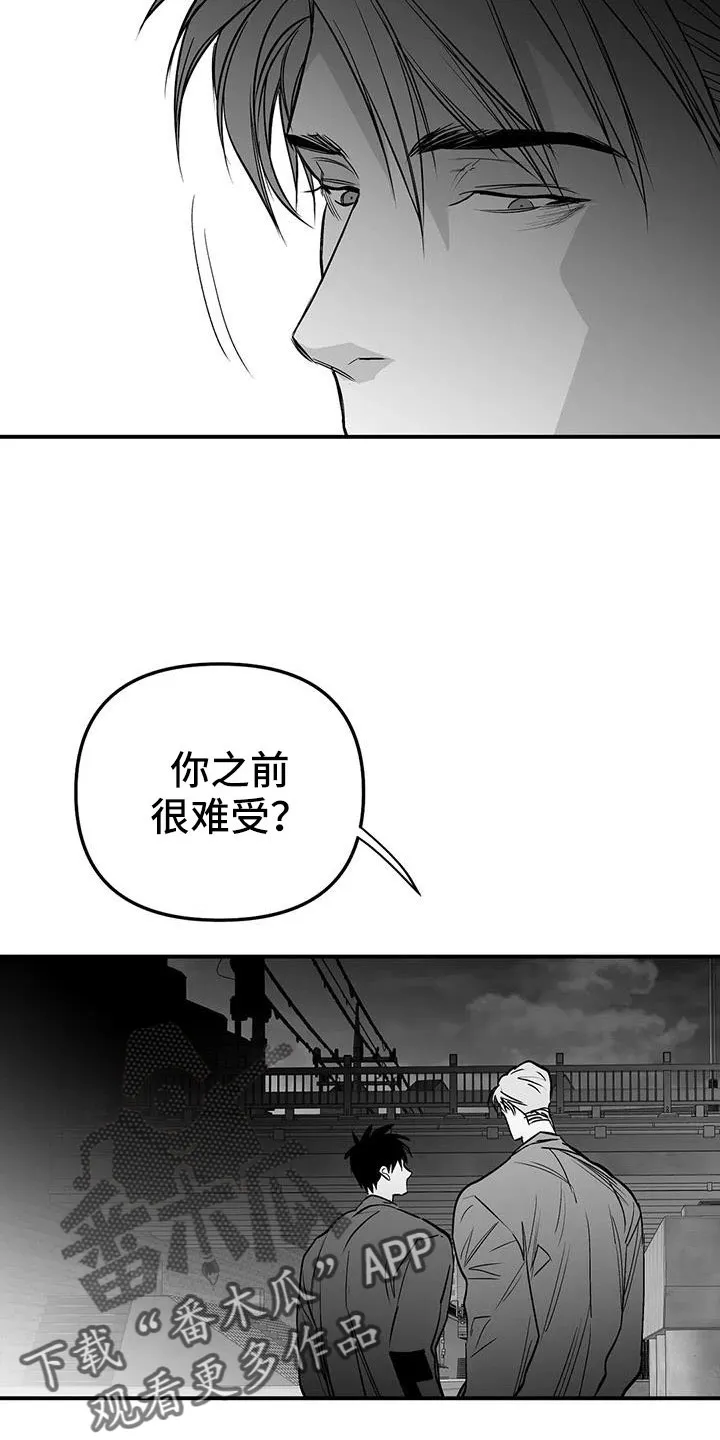 拳击手漫画图片漫画,第219章：【第三季】帮你治腿14图