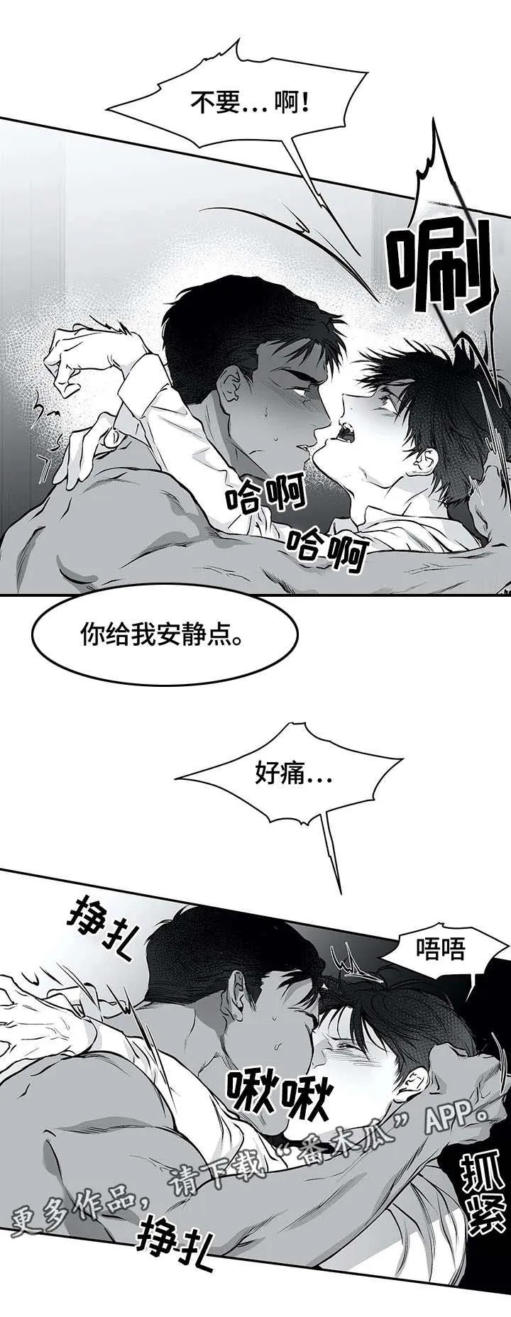 拳击手漫画漫画,第21章：嫉妒2图