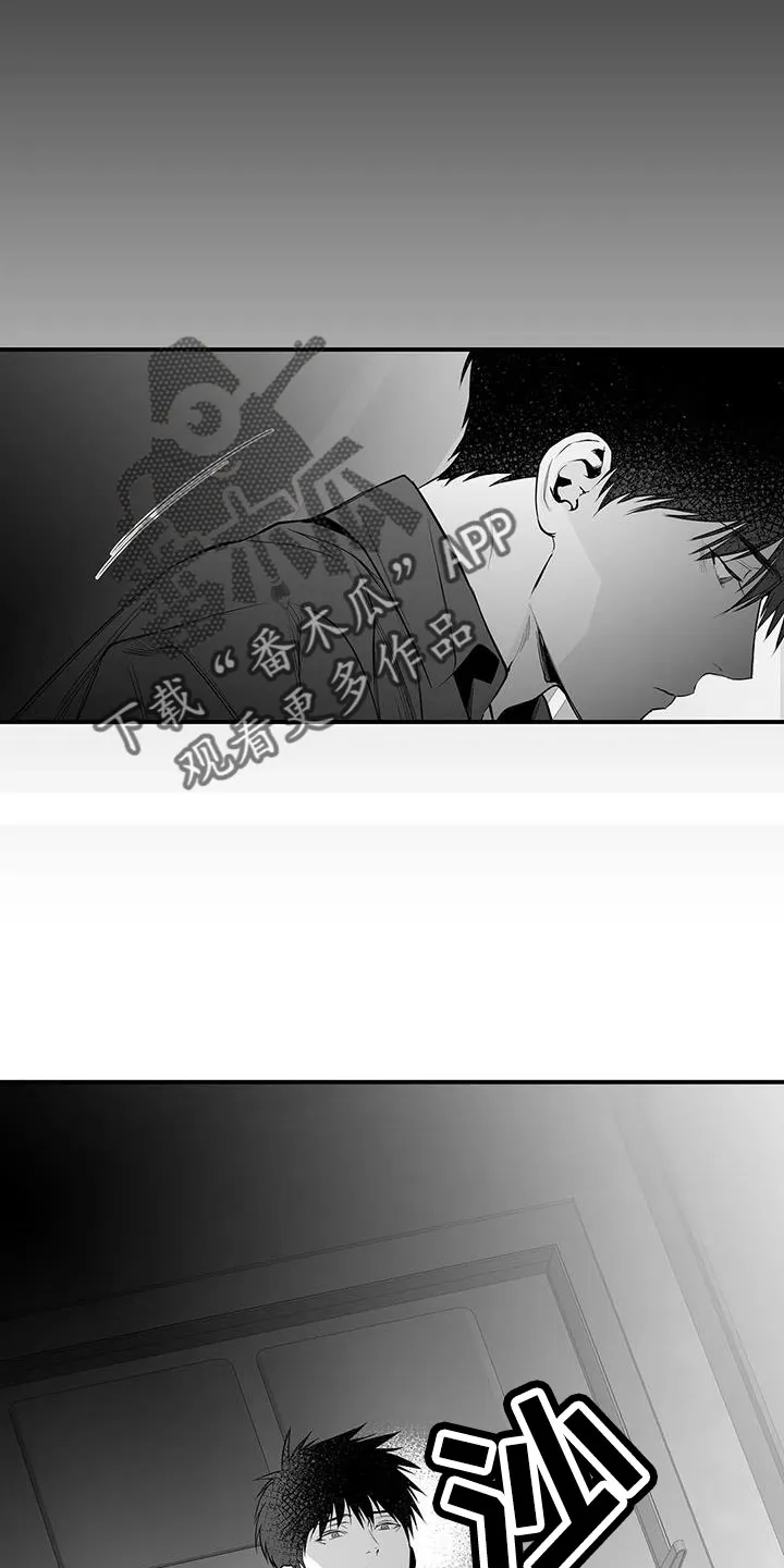 拳击手漫画卡西姆漫画,第212章：【第三季】条件是什么来着15图