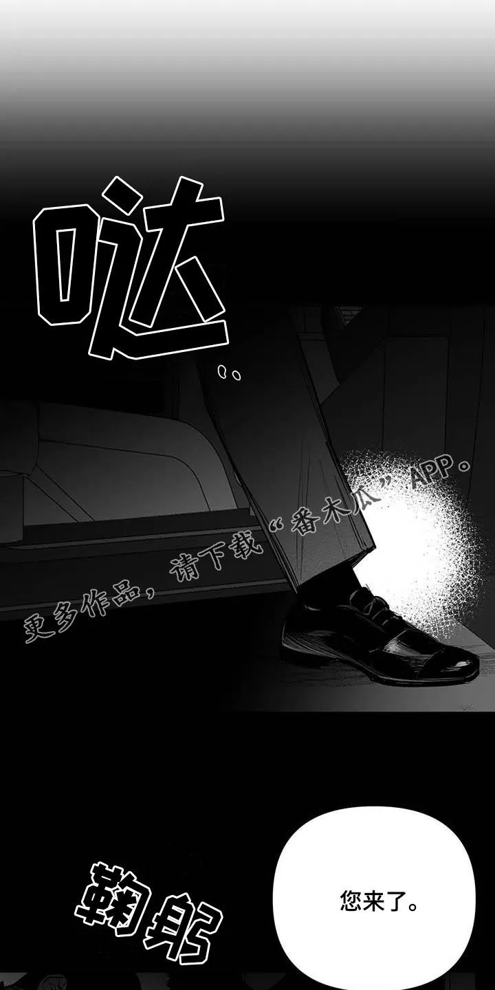 拳击手动漫漫画漫画,第166章：【第三季】傻瓜1图
