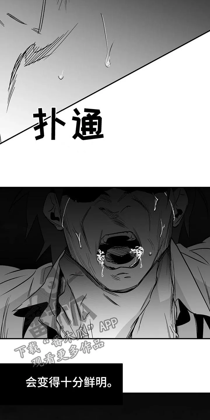 拳击手 漫画漫画,第194章：【第三季】必须要离开14图