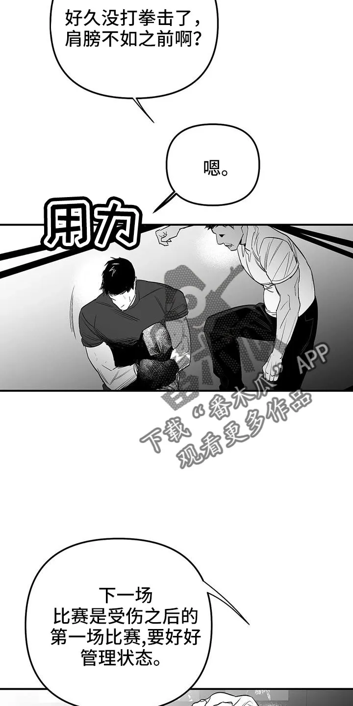 拳击手漫画免费阅读漫画,第214章：【第三季】那人很危险3图