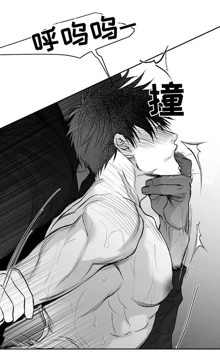 拳击手漫画漫画,第111章：【第二季】很贪心14图