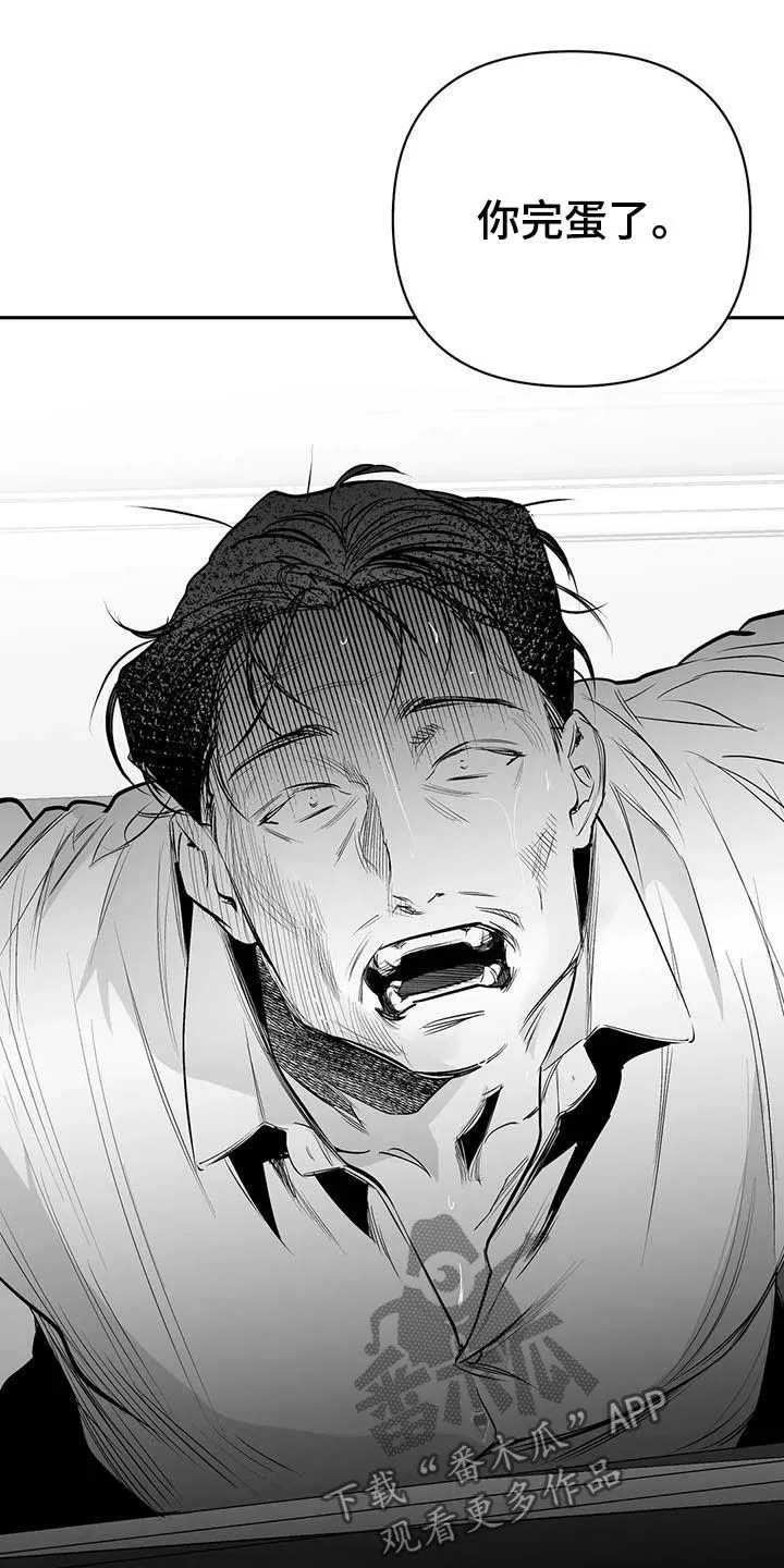拳击手漫画漫画,第152章：【第三季】你完蛋了17图