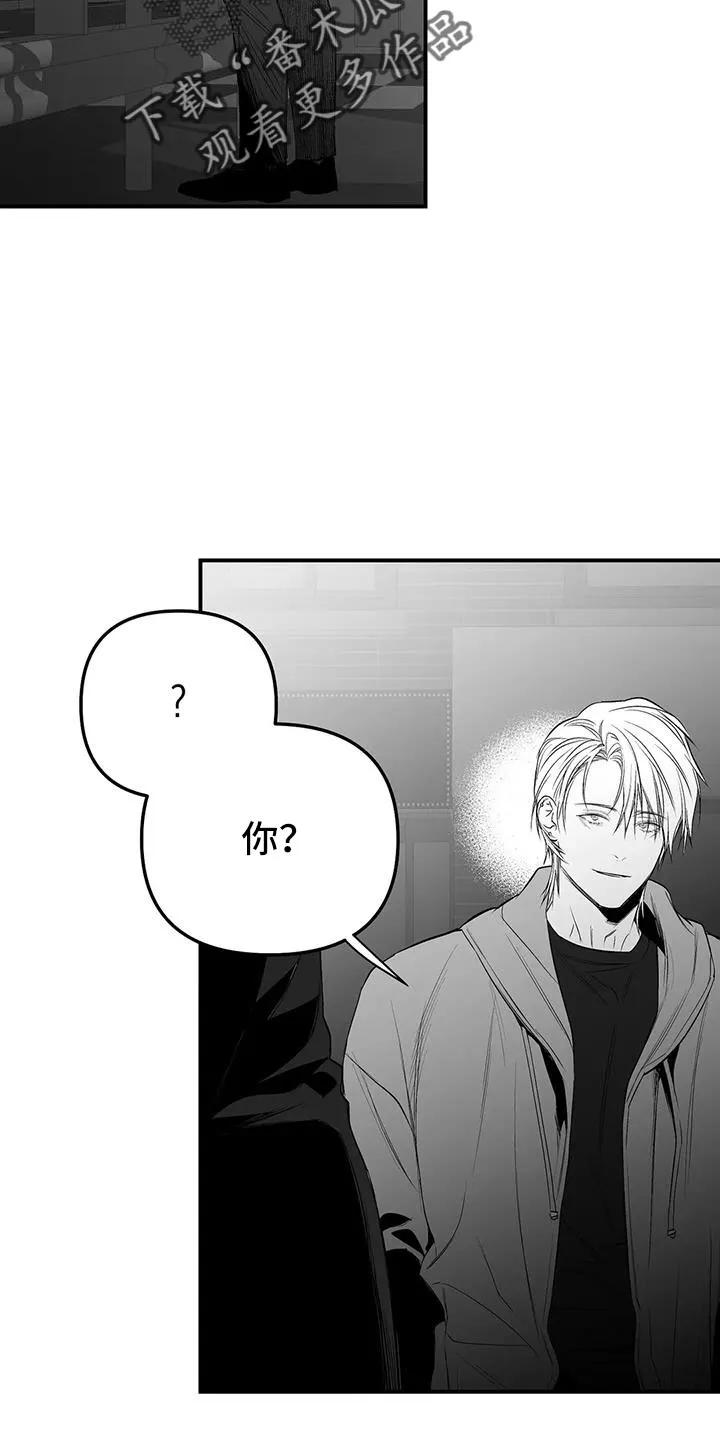 拳击手漫画卡西姆漫画,第212章：【第三季】条件是什么来着23图