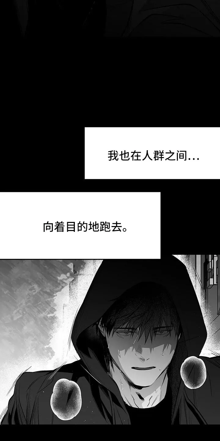 拳击手漫画图片漫画,第201章：【第三季】去散步4图