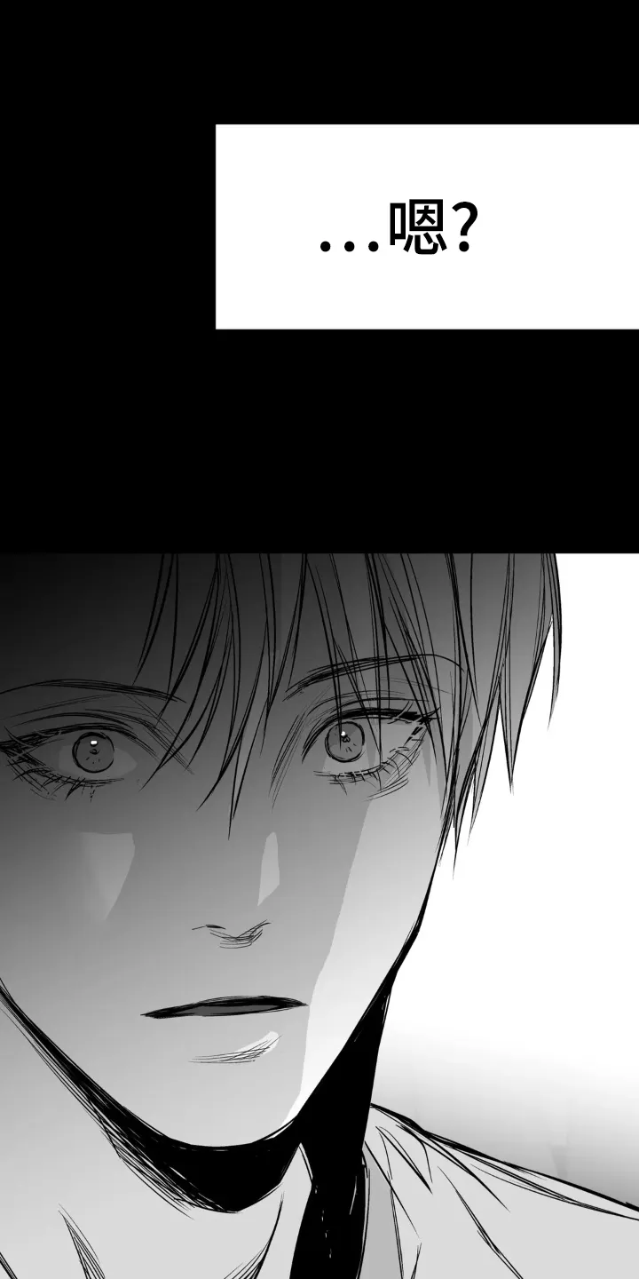 拳击手漫画卡西姆漫画,第239章：【第三季】眼熟27图