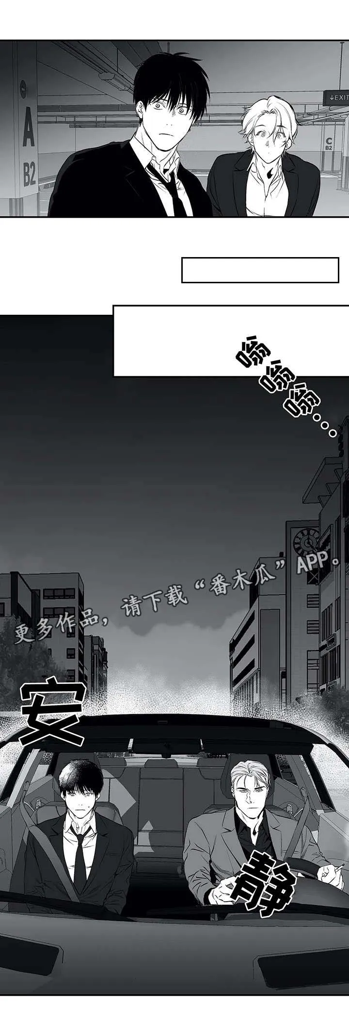 拳击手漫画李施河漫画,第19章：组织8图