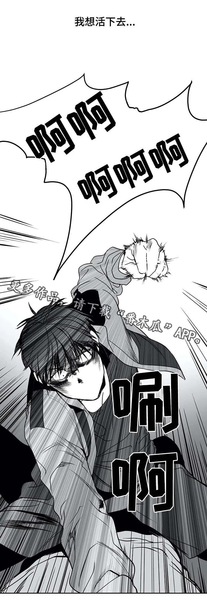 拳击手漫画吧漫画,第7章：面熟9图