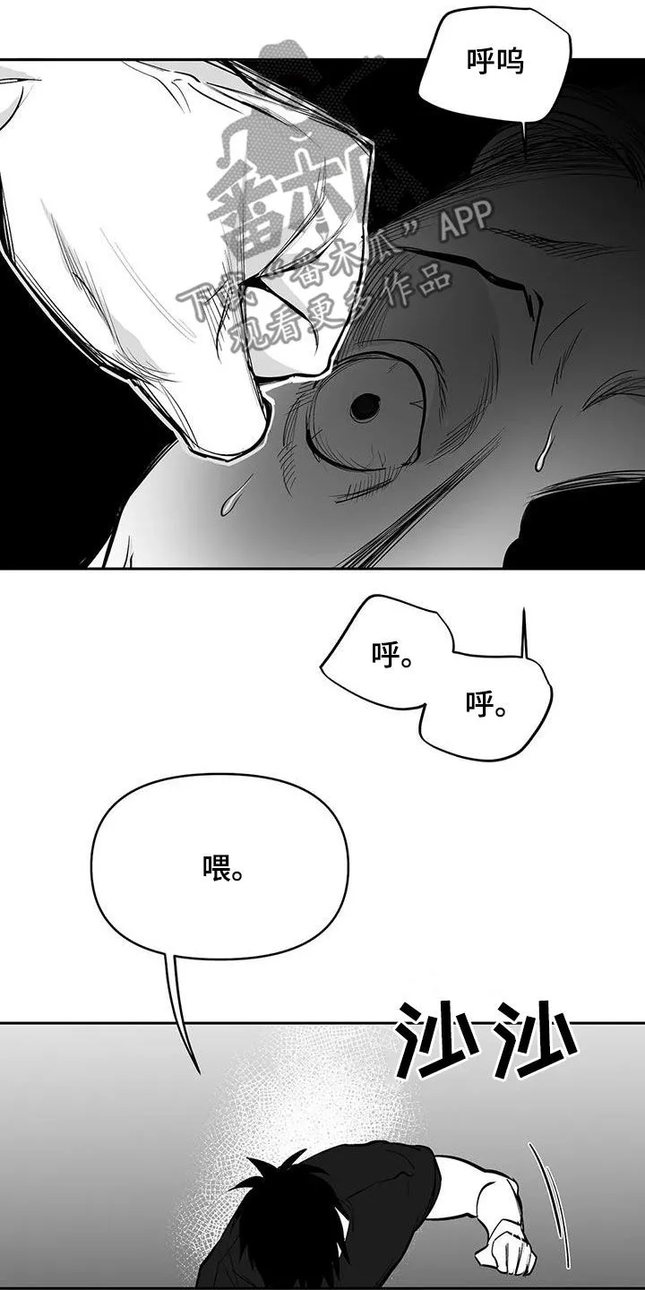 拳击手漫画头像漫画,第165章：【第三季】碾压9图