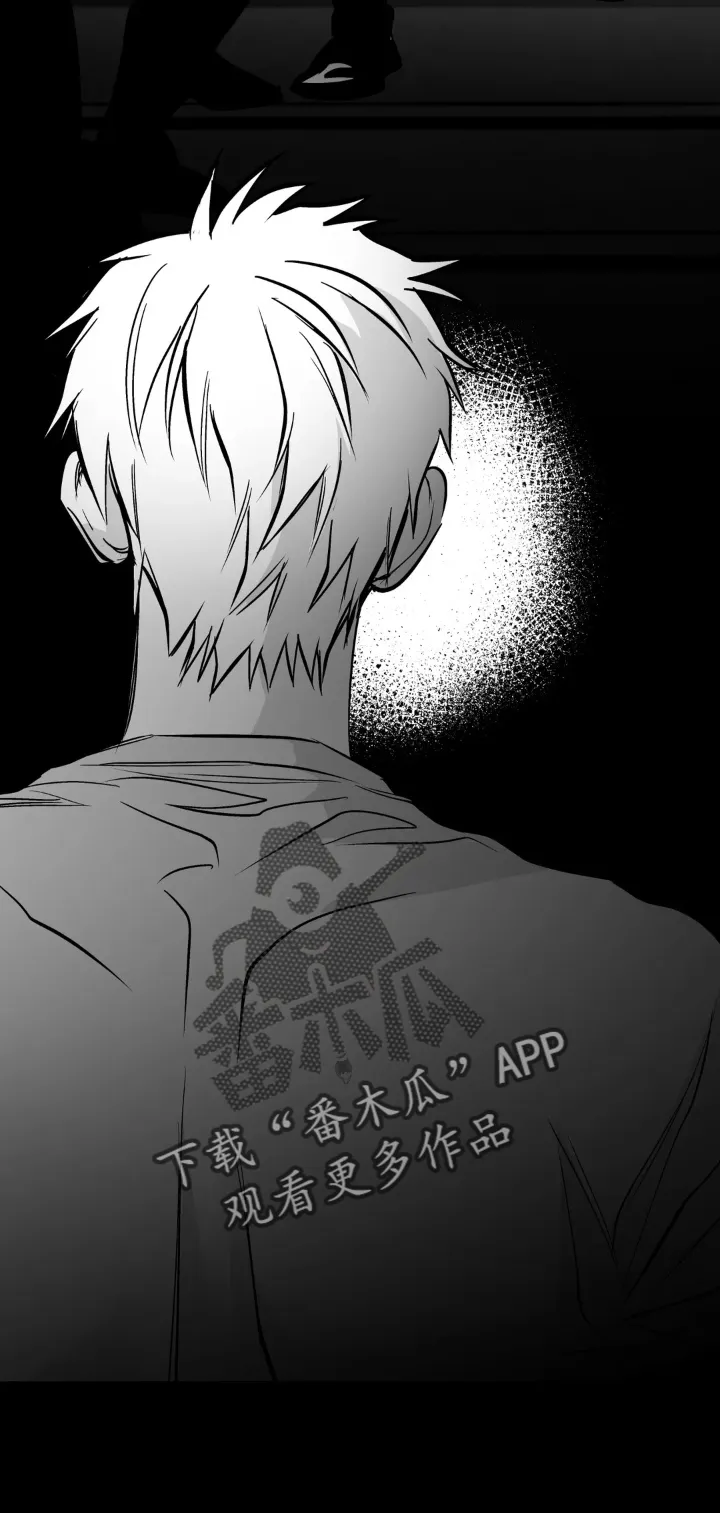 拳击手漫画卡西姆漫画,第239章：【第三季】眼熟26图