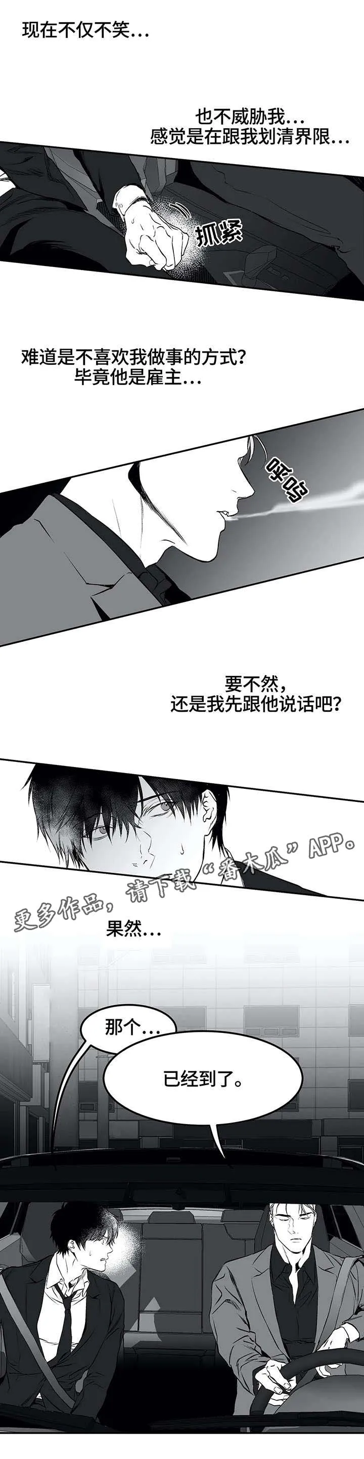 拳击手漫画李施河漫画,第19章：组织10图