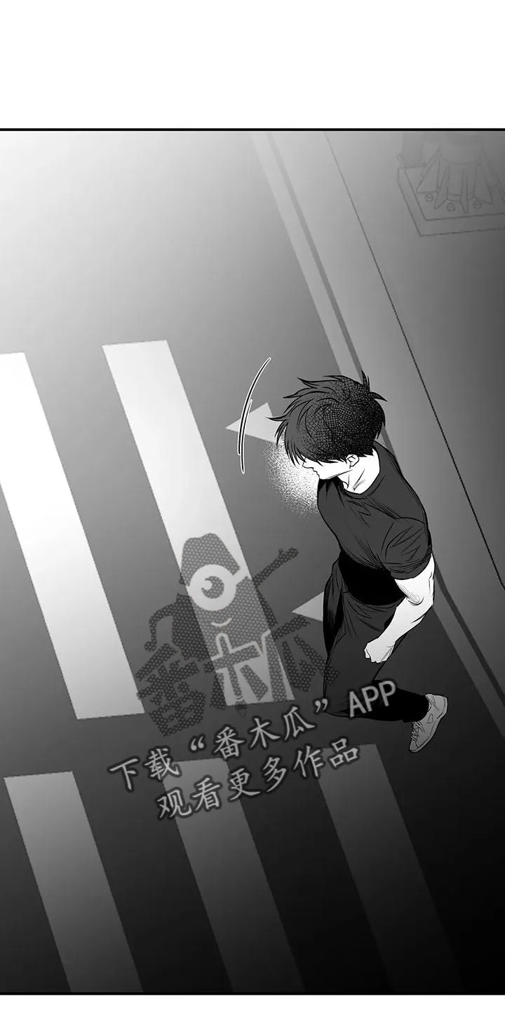拳击手漫画图片漫画,第201章：【第三季】去散步34图