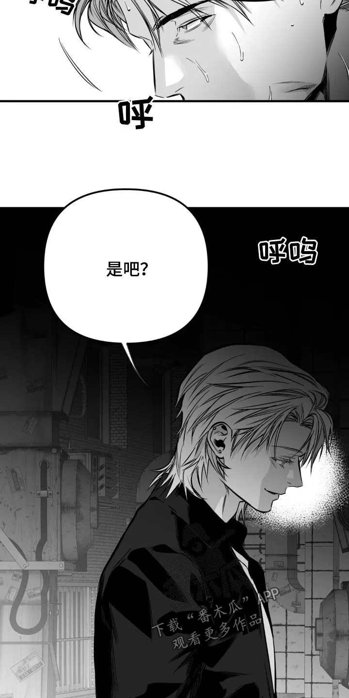 拳击手漫画免费版在线观看漫画,第255章：【第三季】我们聊聊23图