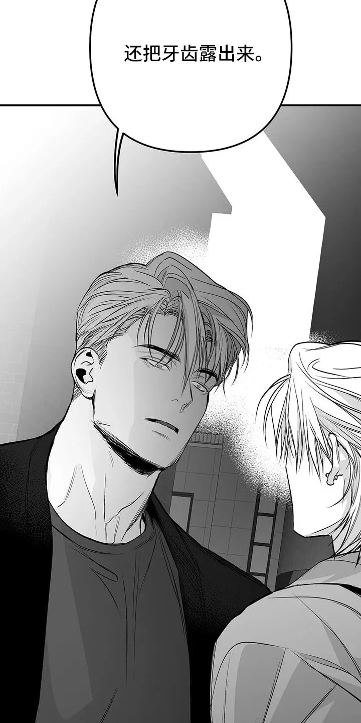 拳击手动漫漫画漫画,第213章：【第三季】果然迟3图
