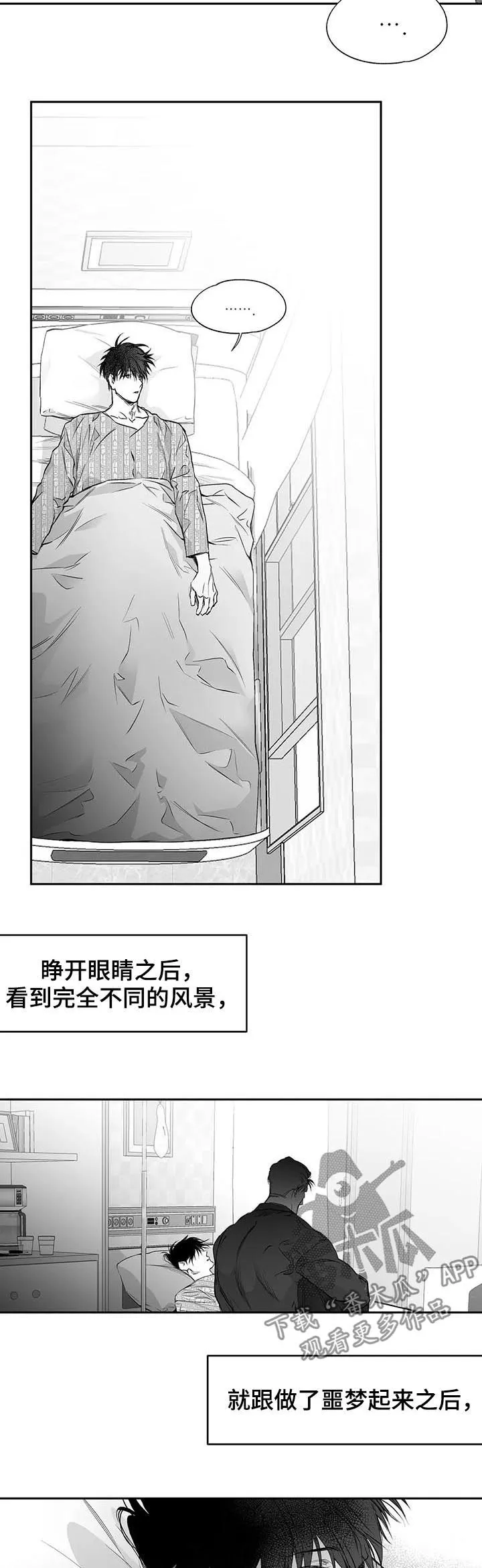 拳击手漫画免费版在线观看漫画,第88章：【第二季】醒来4图