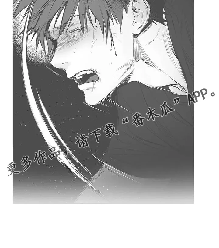 拳击手漫画卡西姆漫画,第212章：【第三季】条件是什么来着31图