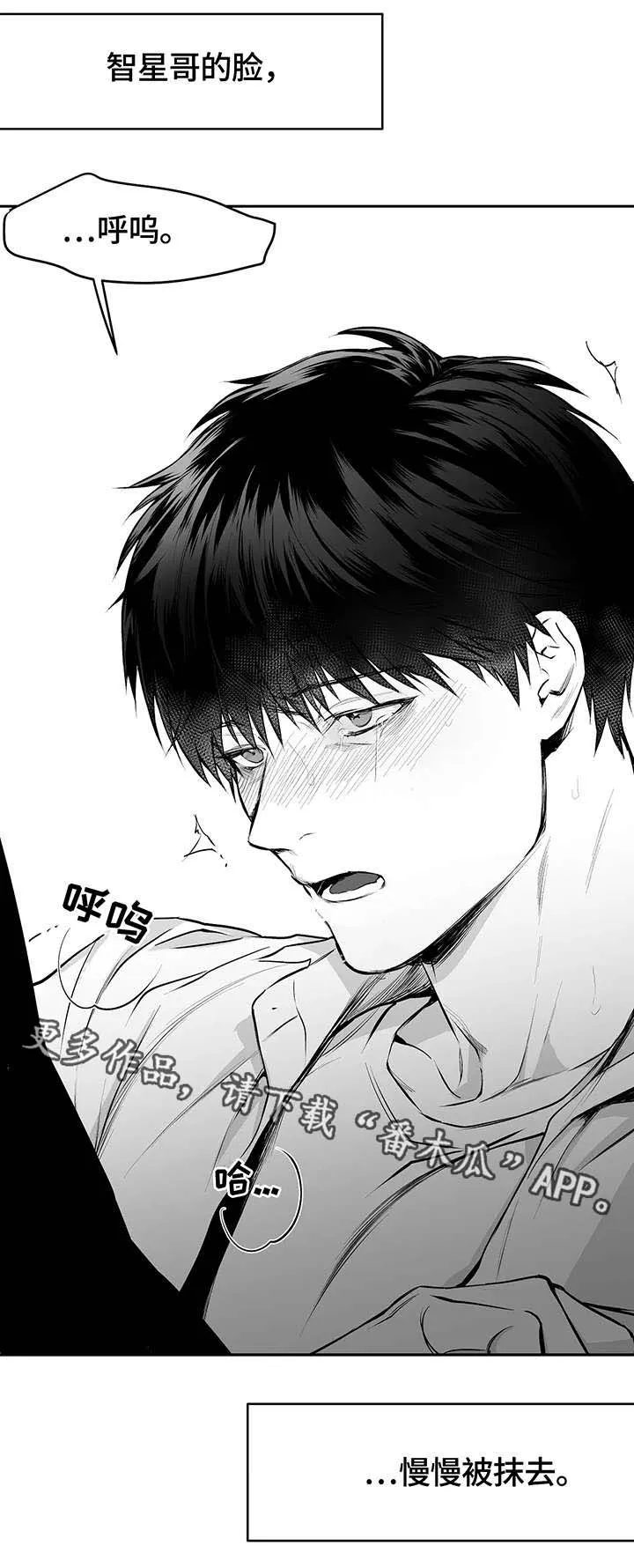 拳击手漫画免费漫画,第34章：抹去11图