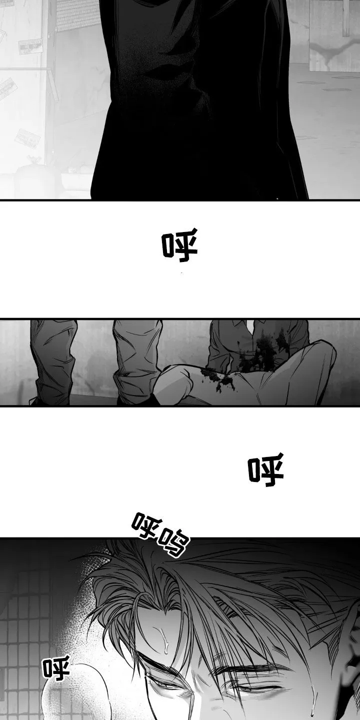 拳击手漫画免费版在线观看漫画,第255章：【第三季】我们聊聊24图