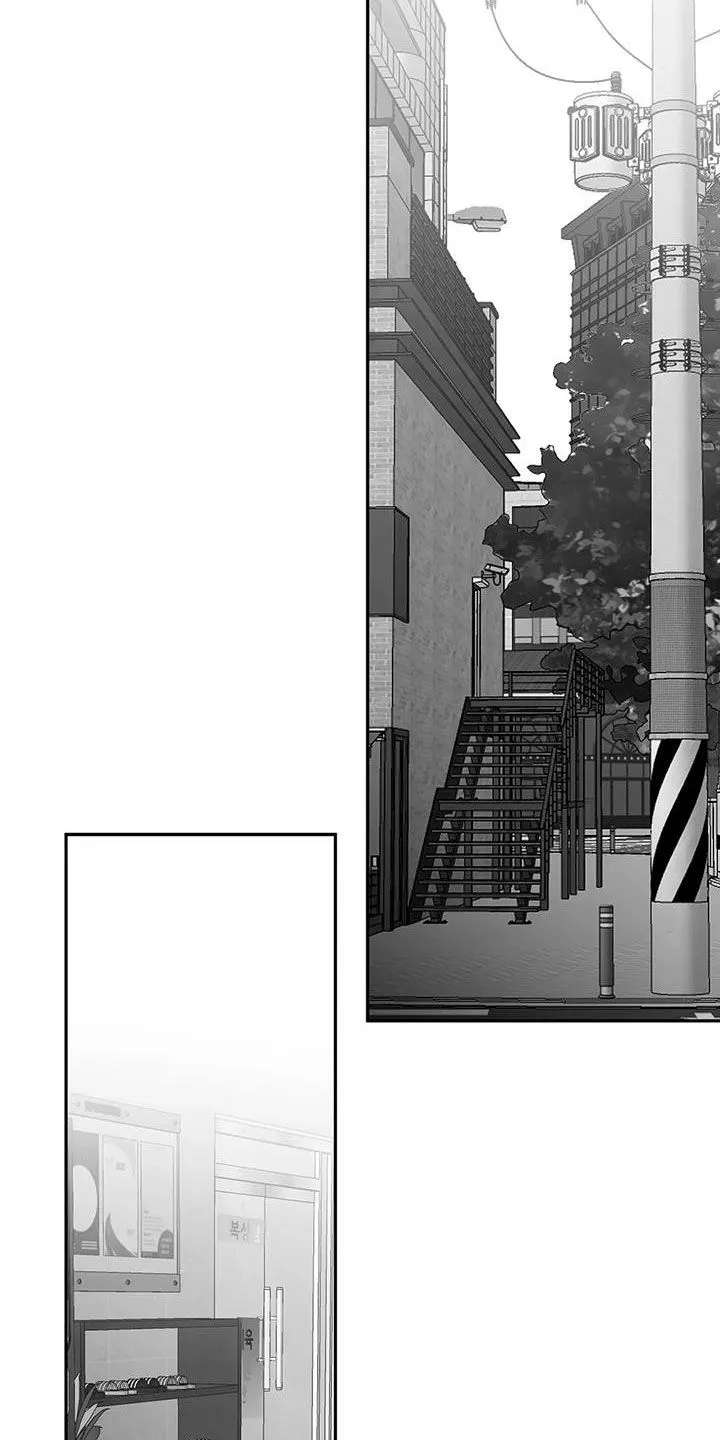 拳击手漫画免费jh漫画,第174章：【第三季】易普症8图
