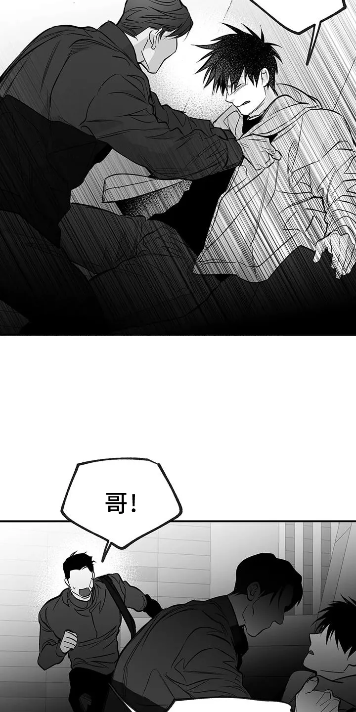 拳击手漫画漫画,第229章：【第三季】质问21图