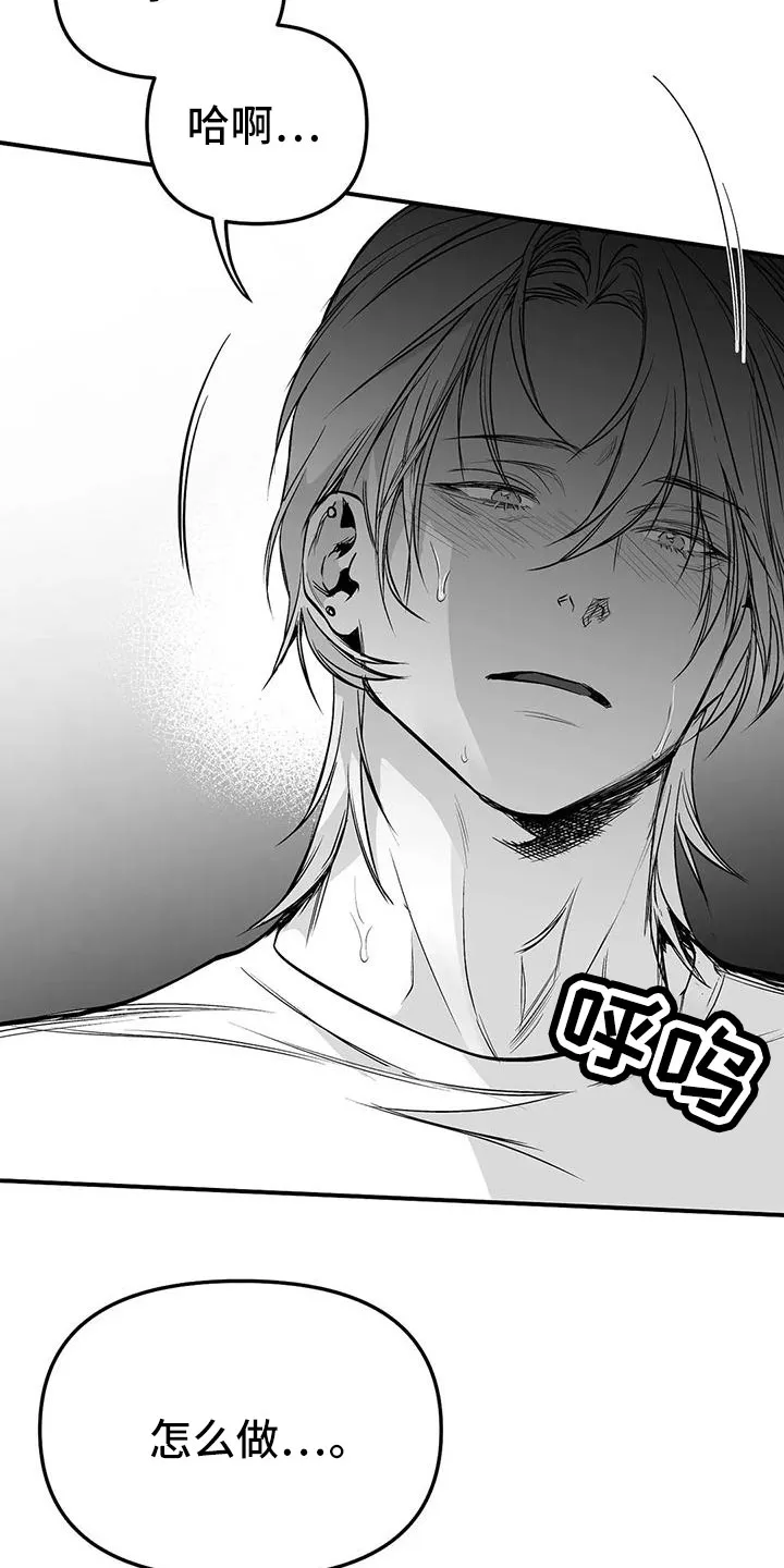 拳击手动漫漫画漫画,第199章：【第三季】怎么才能喜欢38图