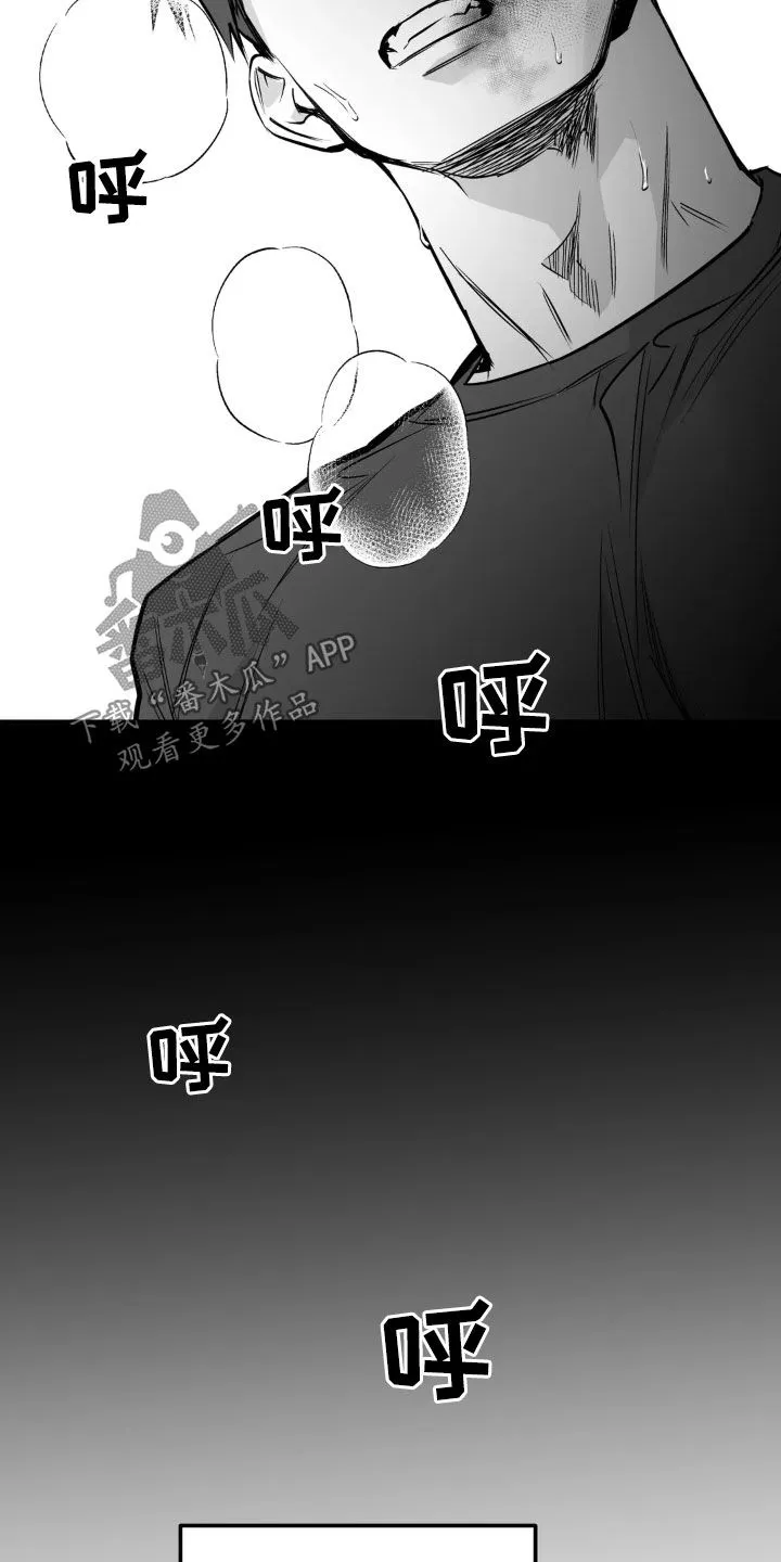 拳击手漫画免费版在线观看漫画,第255章：【第三季】我们聊聊14图