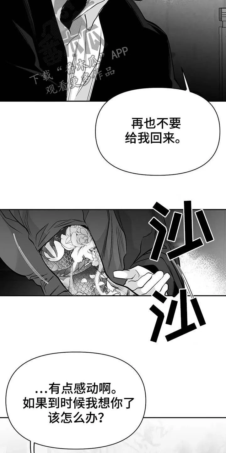 拳击手漫画全集免费阅读下拉式漫画,第148章：【第三季】我可以救你16图