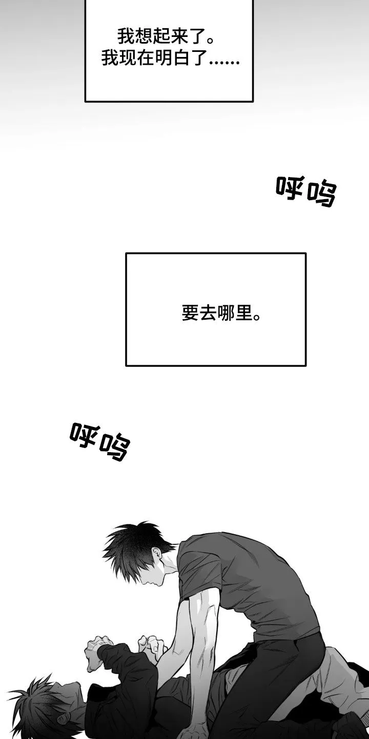 拳击手漫画免费版在线观看漫画,第255章：【第三季】我们聊聊15图