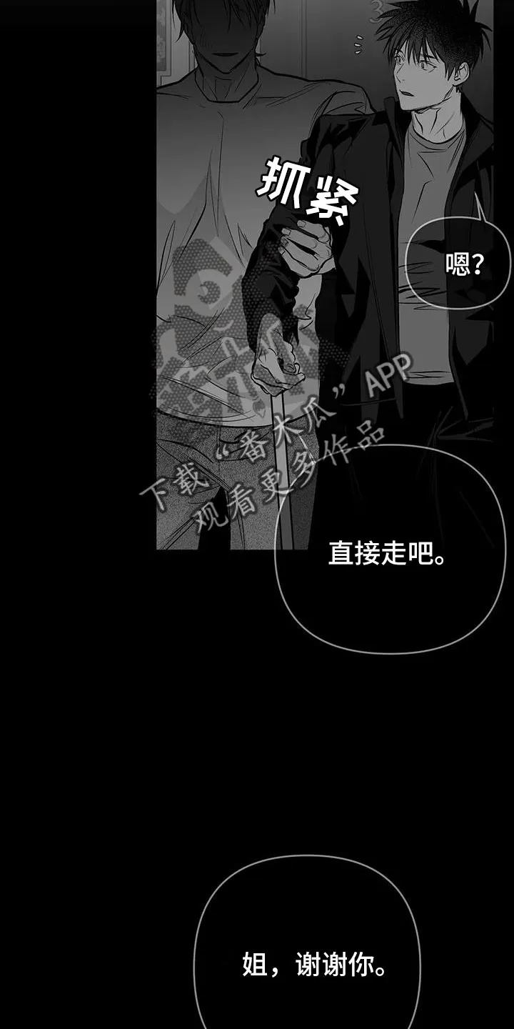 拳击手漫画卡西姆漫画,第212章：【第三季】条件是什么来着17图