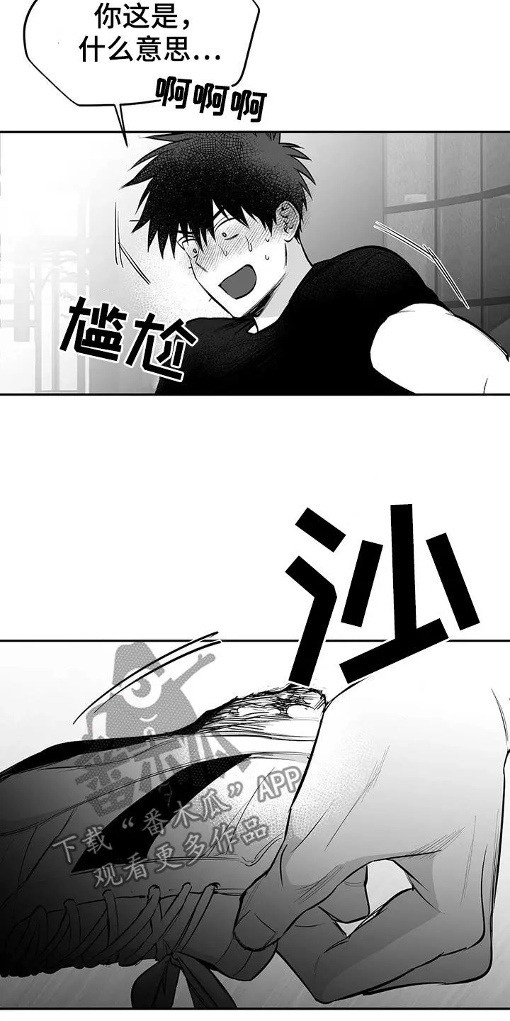 拳击手漫画漫画,第176章：【第三季】试鞋21图