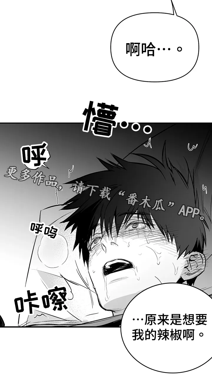 拳击手漫画免费漫画,第188章：【第三季】很开心23图